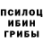 Псилоцибиновые грибы Psilocybine cubensis daniil baranovs
