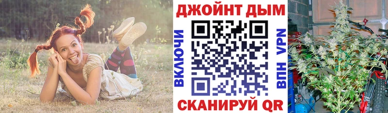 Бошки Шишки планчик  MEGA как зайти  Ачхой-Мартан 